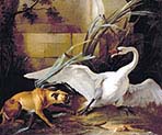 Swan Attacked by a Dog